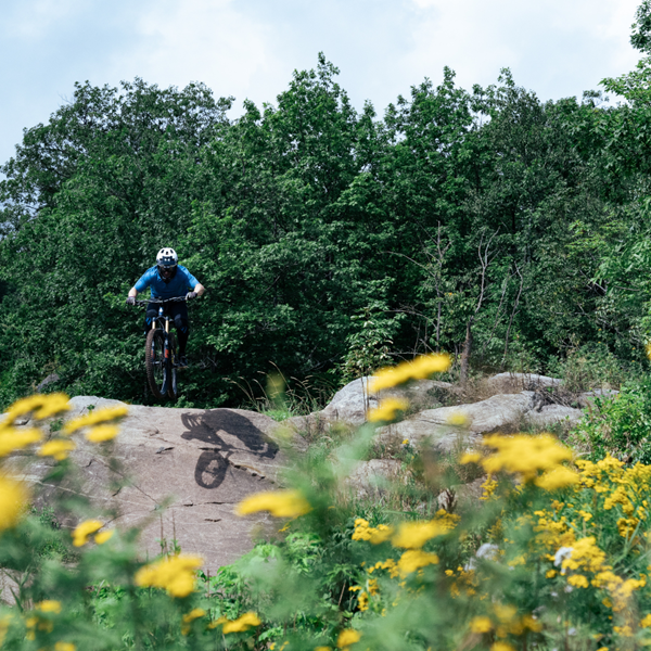 Picture for category MTB 2026 Summer Passes