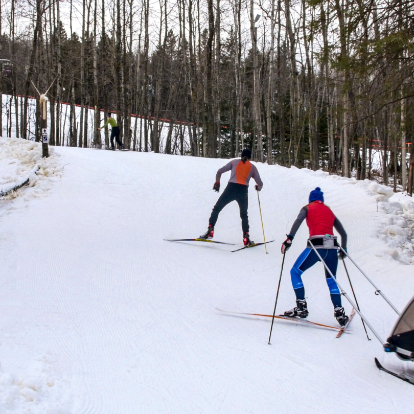 Picture for category Nordic add on to Alpine Pass